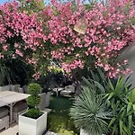 Jardin Sur La Pointe Croisette Luxe En Bord De * Cannes