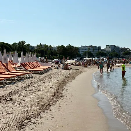 Jardin Sur La Pointe Croisette Luxe En Bord De *